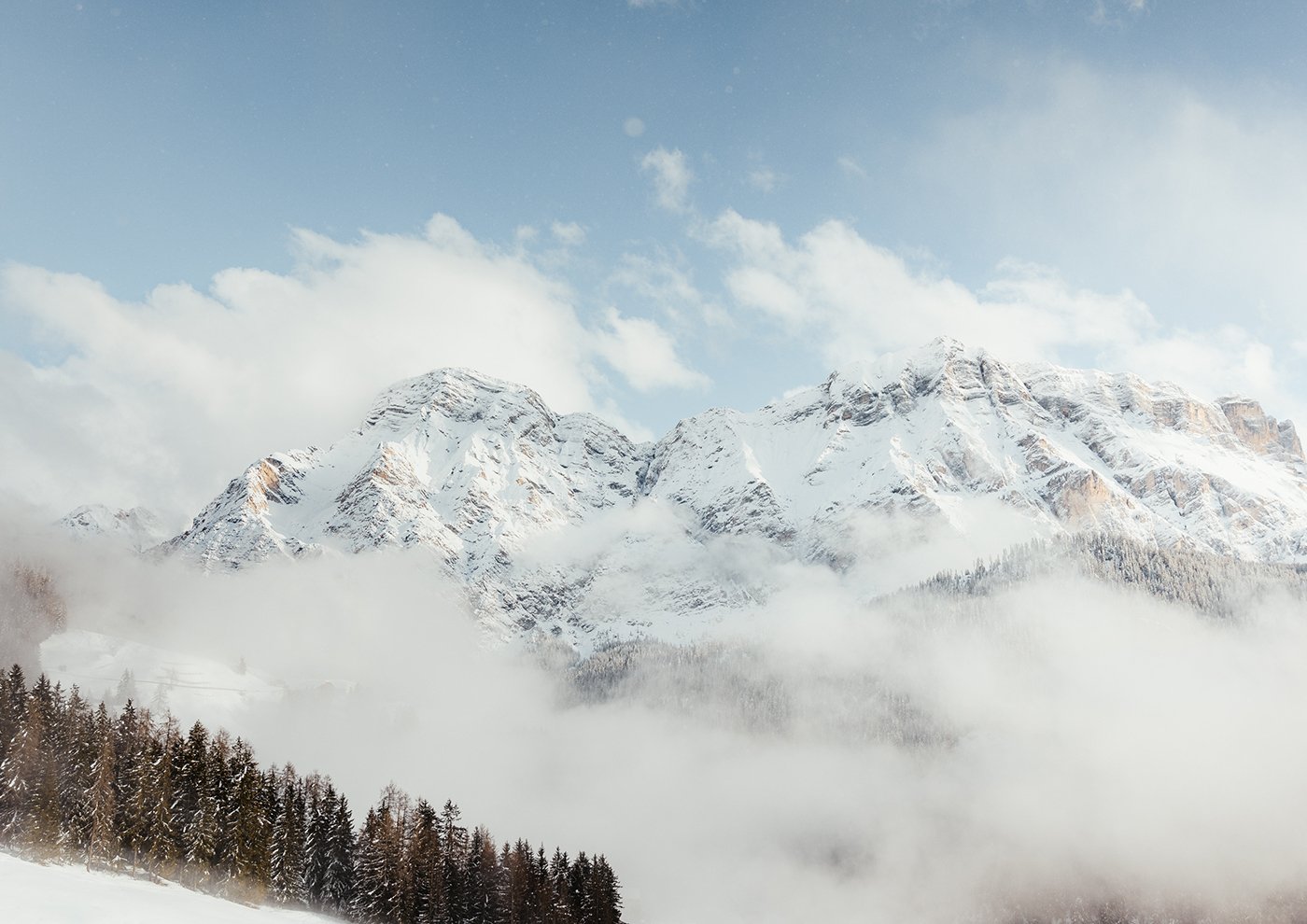 Majestic, snow-capped Dolomite peaks enveloped in fog, with coniferous forests in the foreground.